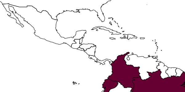map of Melanocryptus delos     Aguiar, in Aguiar & Santos, 2015